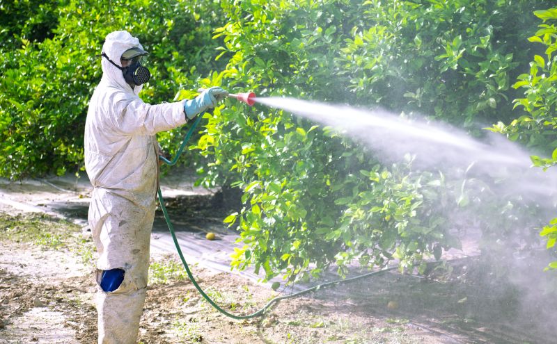 Residential Fumigation in Coeur D Alene, ID