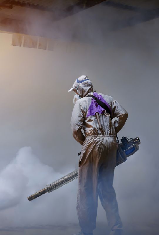 Roach Fumigation in Woodbridge, VA