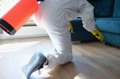 Pest Fumigation Service in Long Island, NY